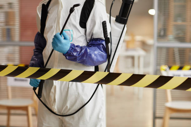 Professional Biohazard technician working in Hathaway Pines, CA